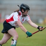 2012 Ulster Club Final - action shot 4