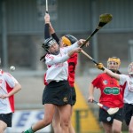 2012 Ulster Club Final - action shot 5
