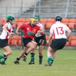2012 Ulster Club Final - action shot 6