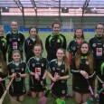 AGM The annual AGM took place on Friday 13th January at 7pm. It was very poorly attended which was extremely disappointing. The camogie club is a strong part of the...