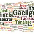 Coiste Cultúir agus Teanga proposes to organise Irish Language classes at Garvaghey for total beginners; i.e. those of all ages who have no Irish of any kind any would like...